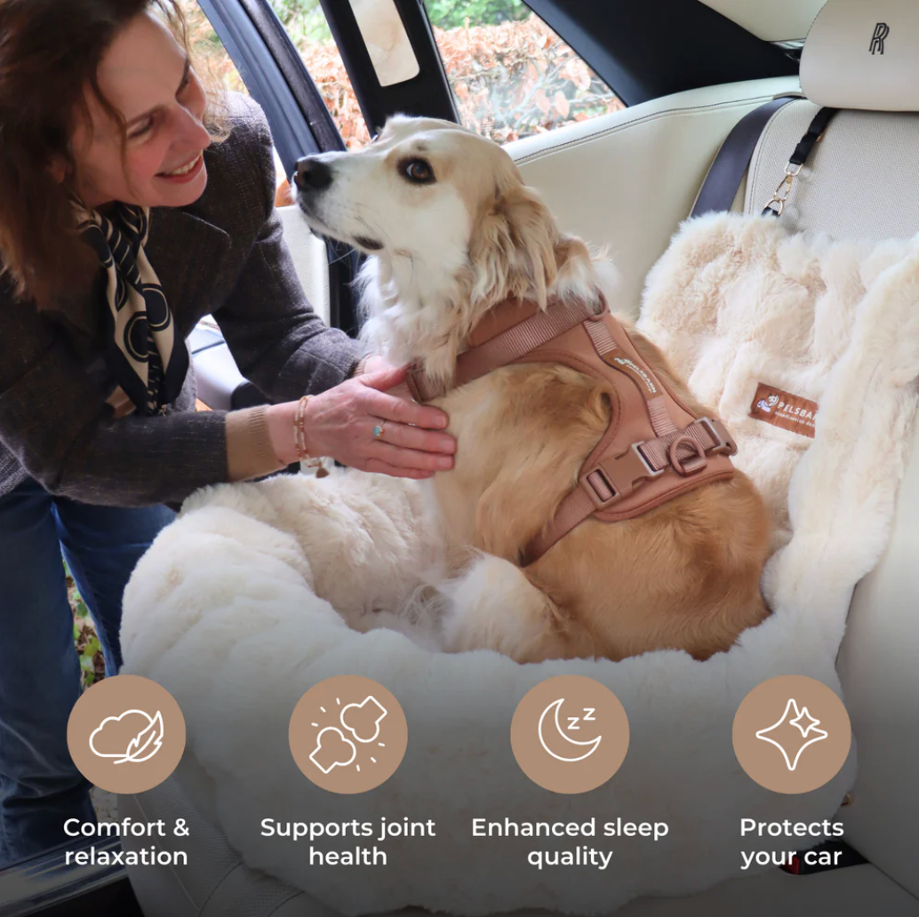 Dog Car Seat
