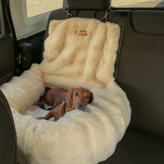 Dog Car Seat