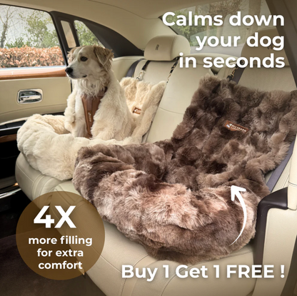 Dog Car Seat